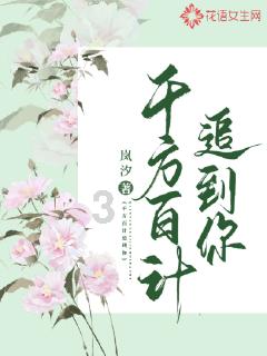 月光影视